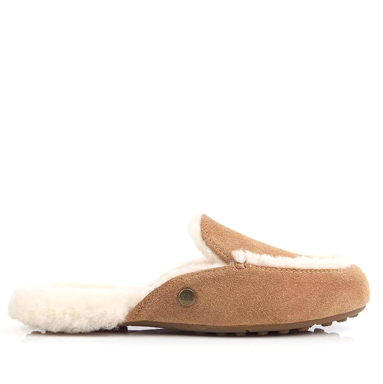 Lane slip on best sale loafer ugg